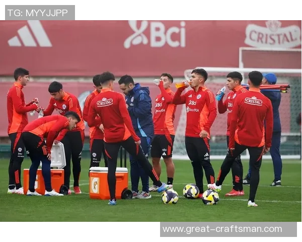 智利足球明星的代表人物及其在国际赛场上的辉煌成就分析